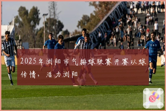 2025年浏阳市气排球联赛开赛以球传情，活力浏阳