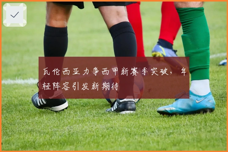 瓦伦西亚力争西甲新赛季突破，年轻阵容引发新期待