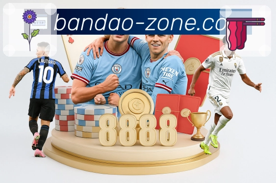 bandao平台展示图